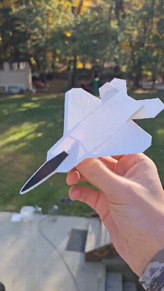 F-22 raptor glider  