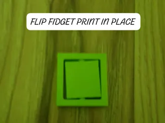 flip figet 