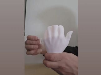 Mechanical Middle Finger