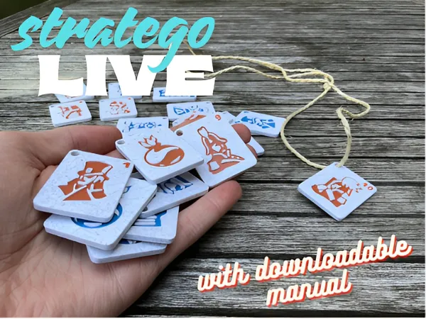 https://makerworld.bblmw.com/makerworld/model/US88cb06daf2221/design/2025-08-13_de9640d9100368.png