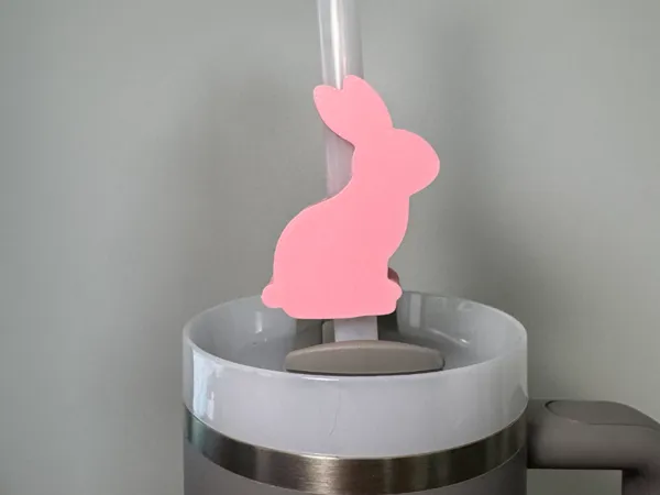 https://makerworld.bblmw.com/makerworld/model/US88cc895402429/design/2025-02-23_0fda1a470e2e2.jpg