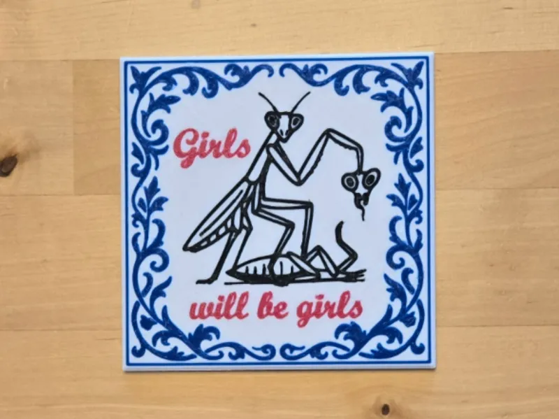 Girls Will Be Girls Coaster
