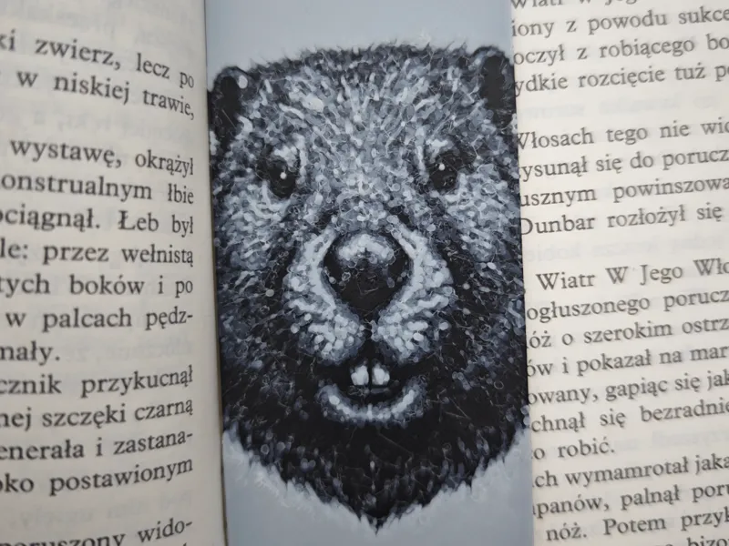 Bóbr