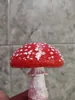 Amanita Muscaria Grande GEOCACHE