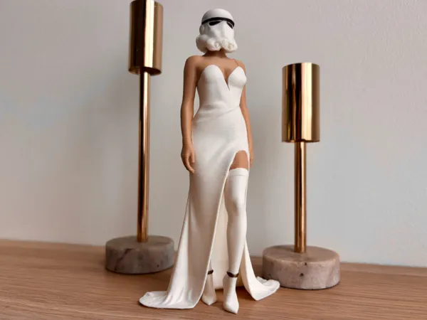 https://makerworld.bblmw.com/makerworld/model/US88d6d31c6496ad/design/2025-05-09_8067f6451c34c8.jpeg