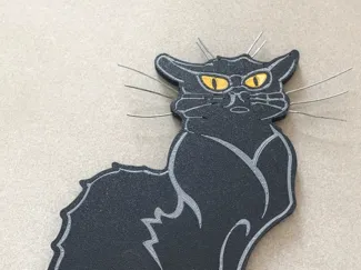 Chat noir