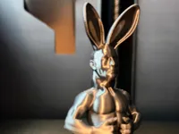 0.2mm layer, 2 walls, 10% infill