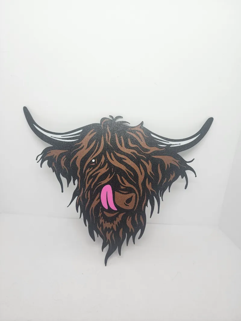 Highland Cow sticking out Tongue