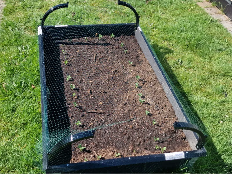 Raised Bed Net Holder