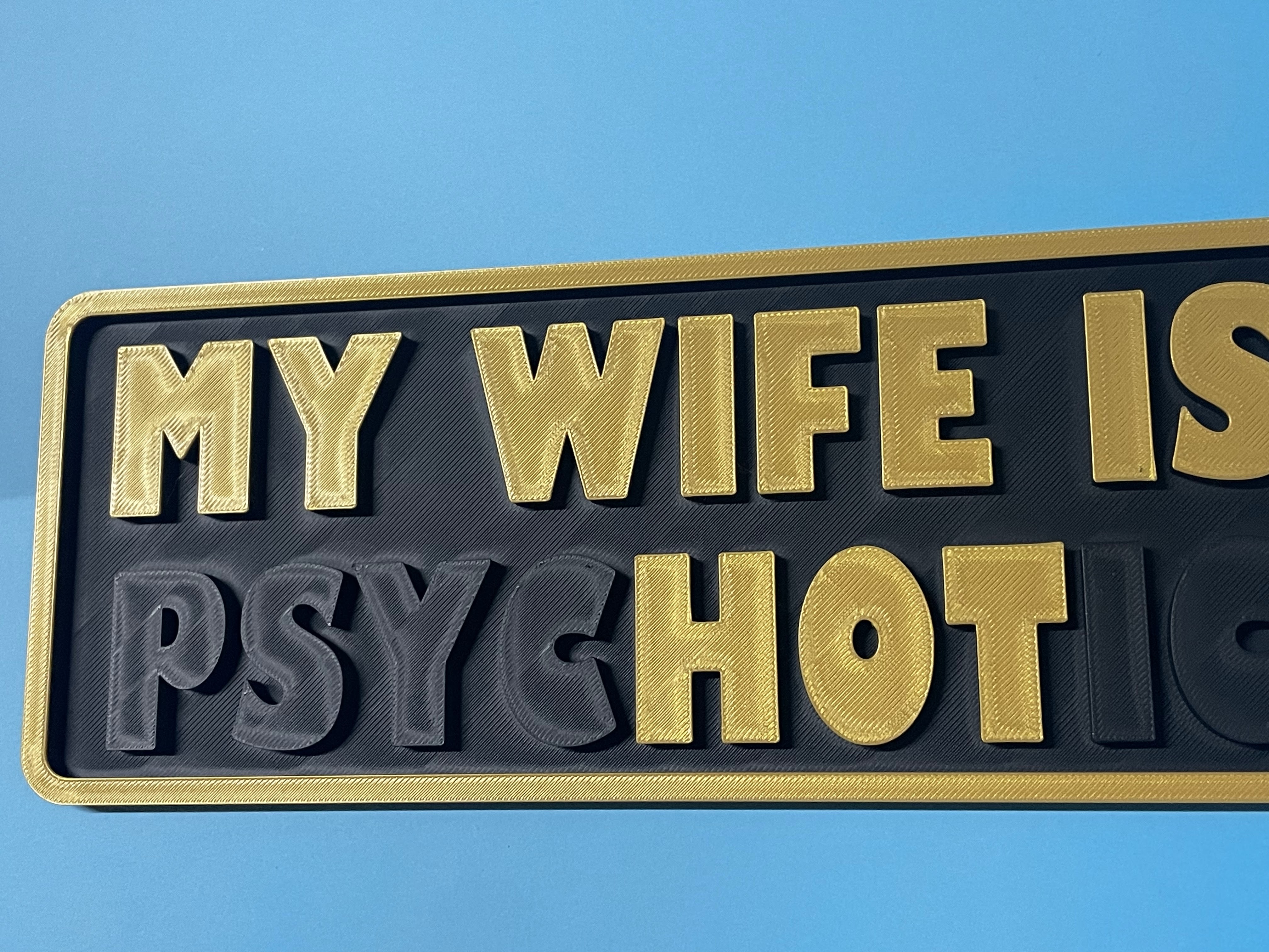 My Wife is HOT / PSYCHOTIC Dual Meaning Prank Sign view 4