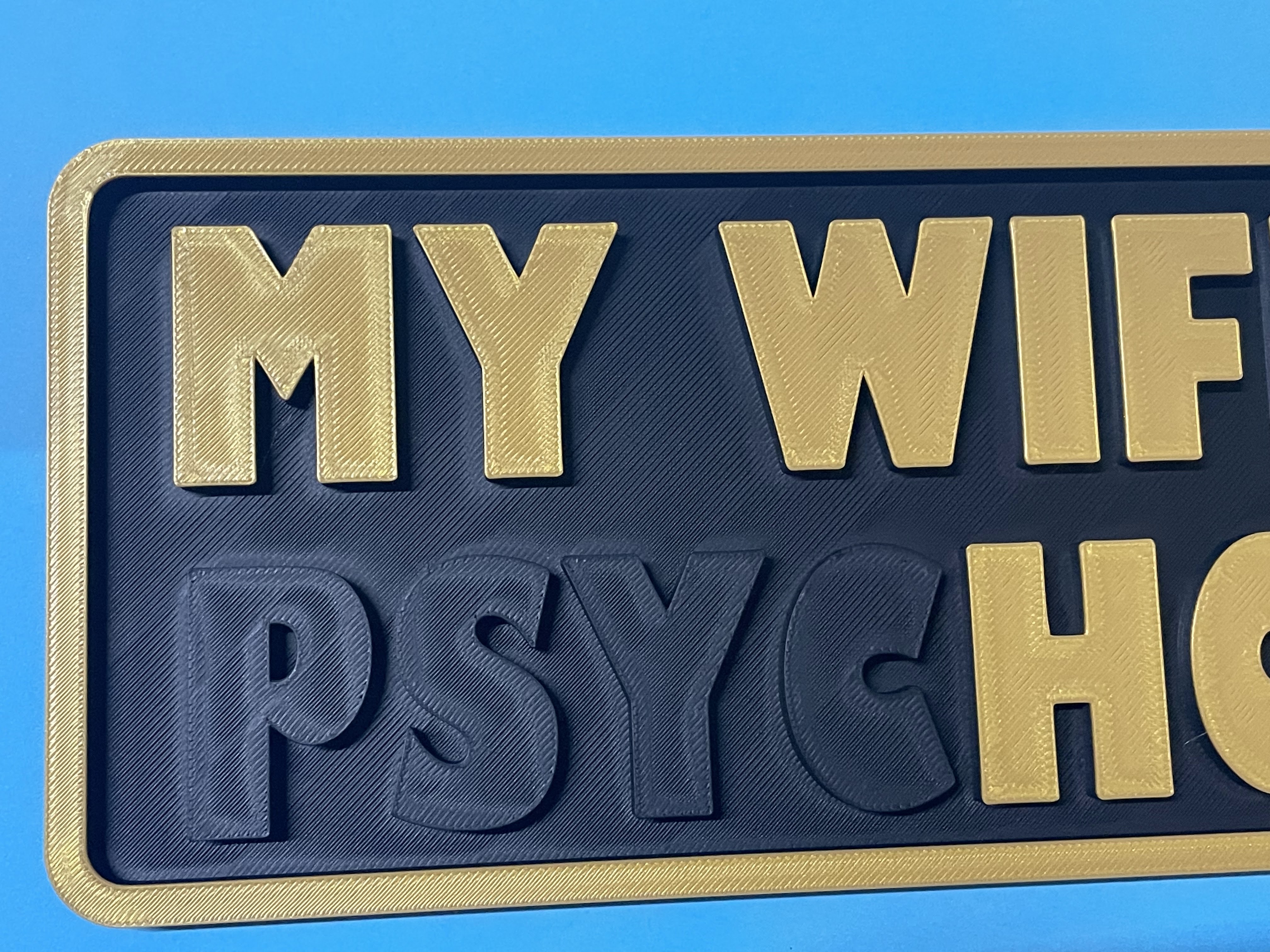 My Wife is HOT / PSYCHOTIC Dual Meaning Prank Sign view 2