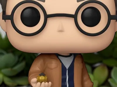 HarryPotter withGolden Sbitch-Casual Style(FanArt)