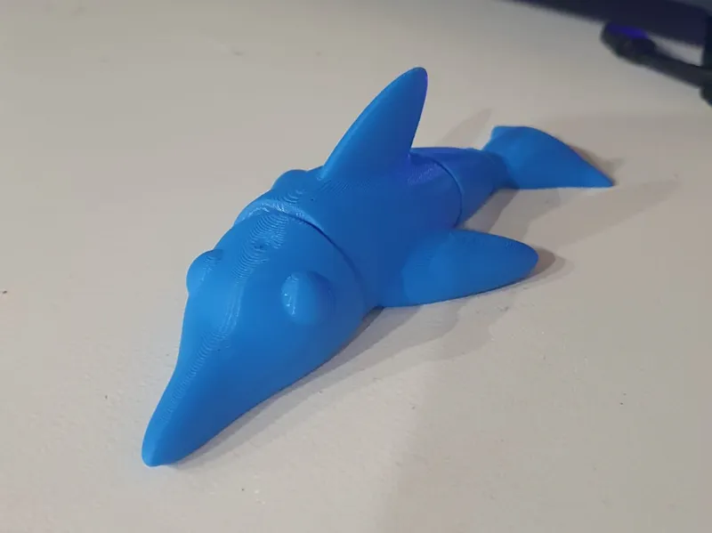 Articulated Dolphin Print in Place