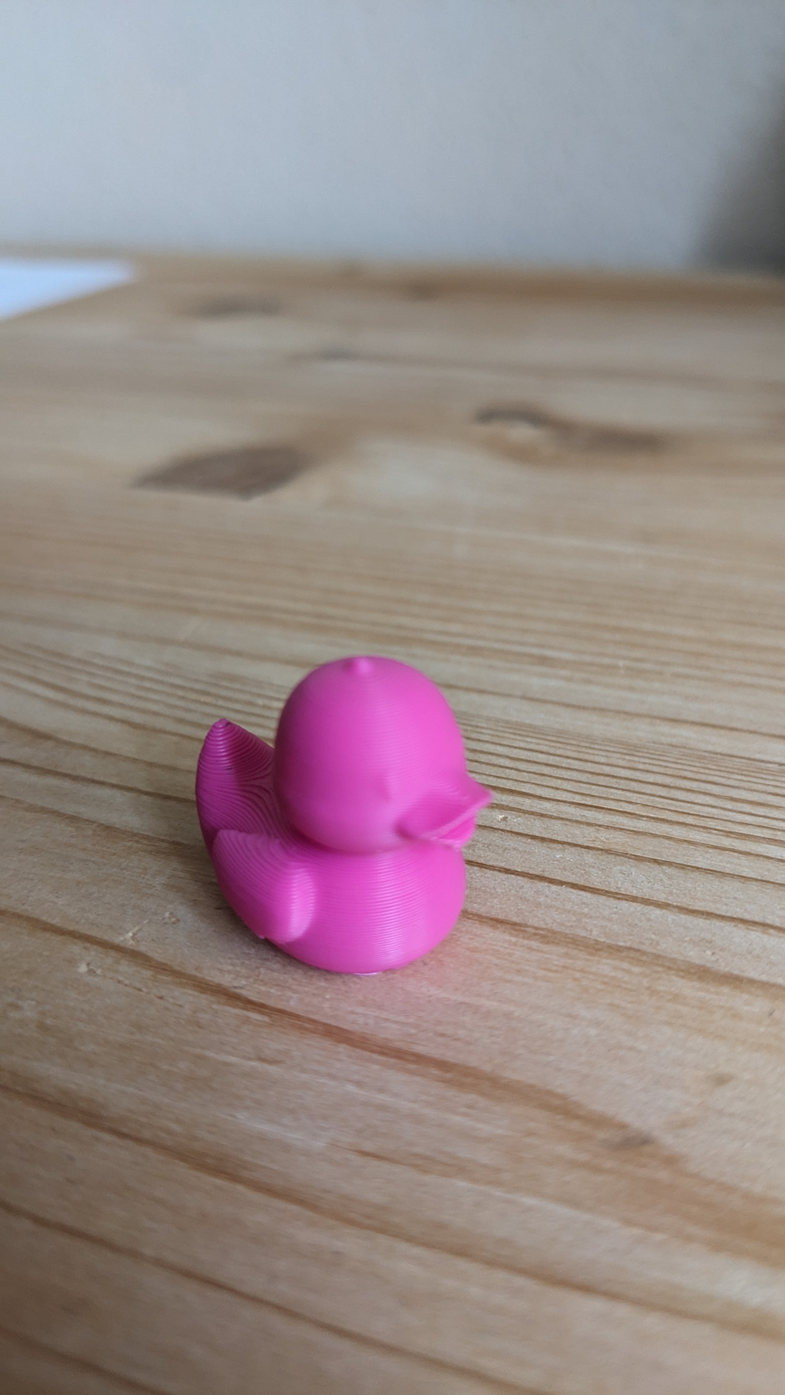 Miniatura 4 do modelo 3D Mini duck