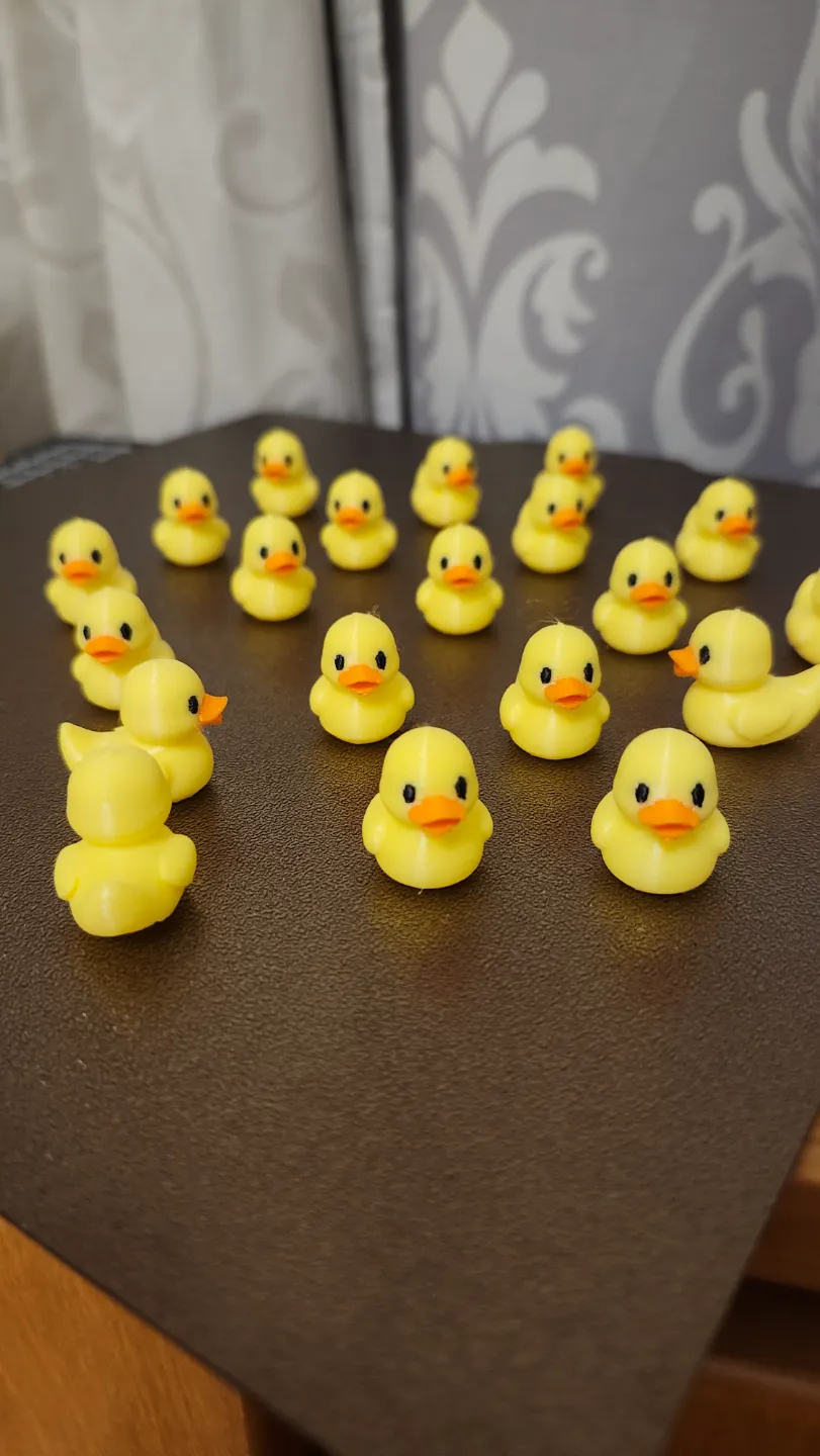 Mini duck view 4