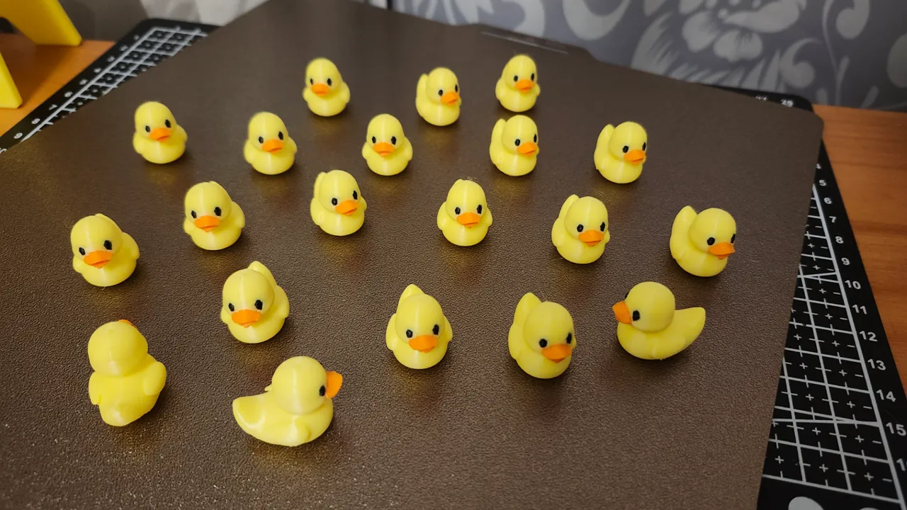 Mini duck view 3