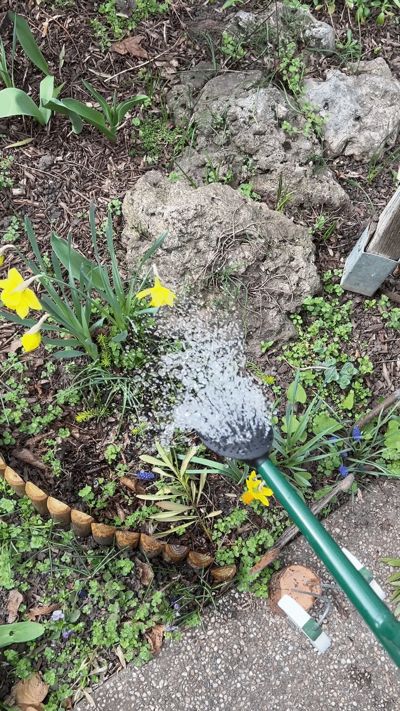 Watering Can Shower Head + Size Adapter 