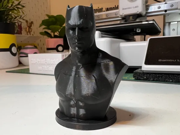 https://makerworld.bblmw.com/makerworld/model/US88fa9bd09b6761/design/2024-11-11_04987697c903c.jpg