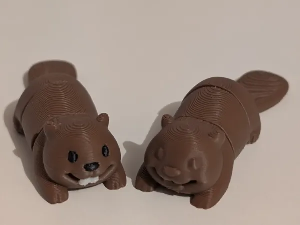 https://makerworld.bblmw.com/makerworld/model/US88fb0b62b9270d/design/2025-08-03_50442d21ffe6a.jpg