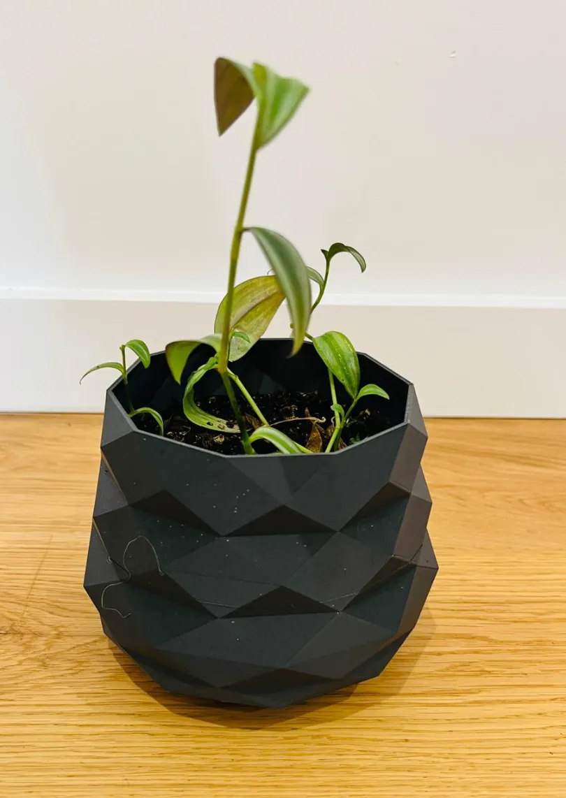 Vase PRIZM