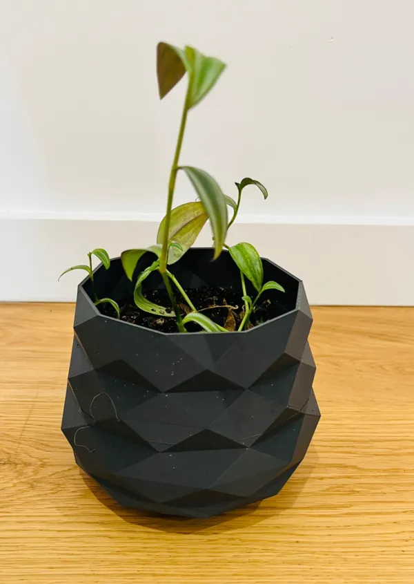 Vase PRIZM