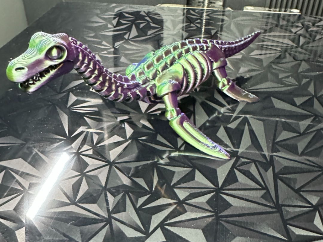 Skeleton Plesiosaurus