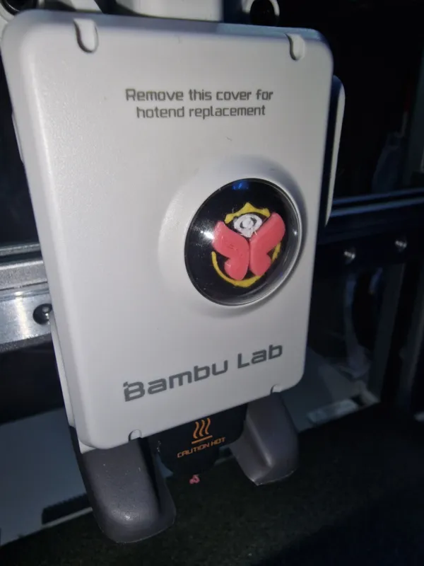 https://makerworld.bblmw.com/makerworld/model/US88fffbab2b366e/design/2024-01-22_003a94c07aef2.jpg