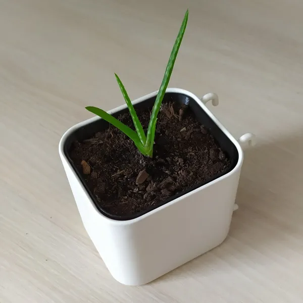 https://makerworld.bblmw.com/makerworld/model/US8904c19d62b11a/design/2023-09-28_7nyeze0g0qcg.jpg