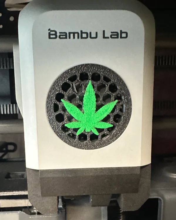https://makerworld.bblmw.com/makerworld/model/US8909f872949473/design/2025-01-10_3335b00355083.jpeg