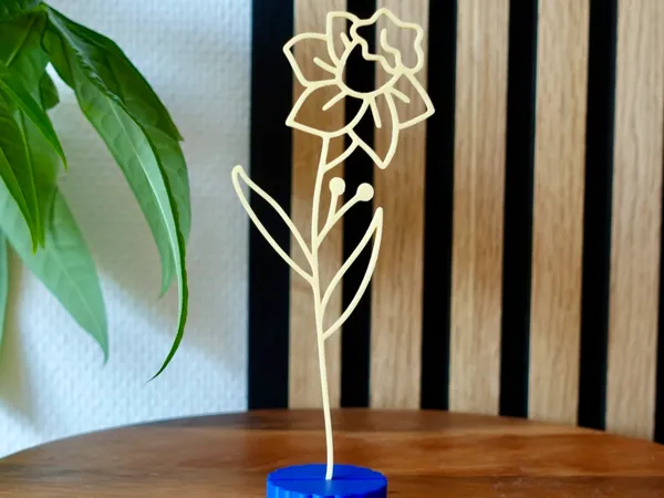 https://makerworld.bblmw.com/makerworld/model/US890a8afb15a1f9/design/2025-09-29_d92c6cb4e5fbd.jpg
