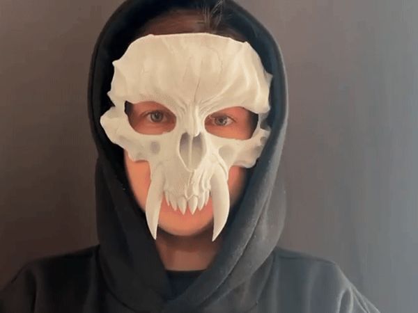 https://makerworld.bblmw.com/makerworld/model/US890e24090c2367/design/2025-09-21_c4f9ae57785c28.gif