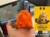 Silly Beaver