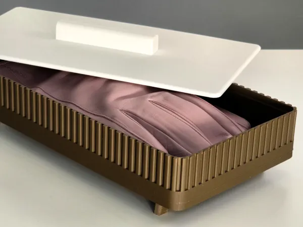 https://makerworld.bblmw.com/makerworld/model/US891455b5bc50a3/design/2025-01-22_ecce42785f19c.jpg