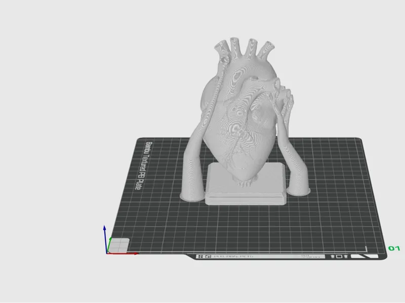 serce 3d