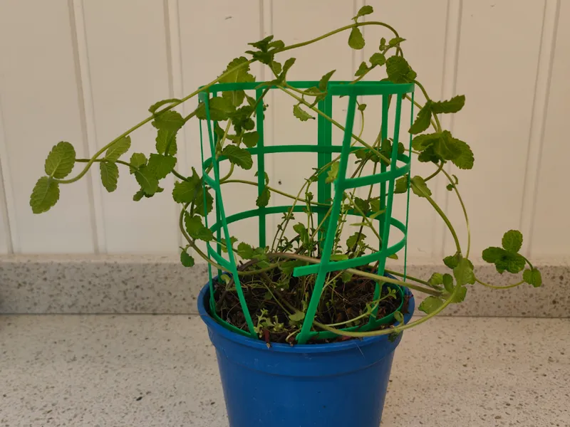 Vase grid planter