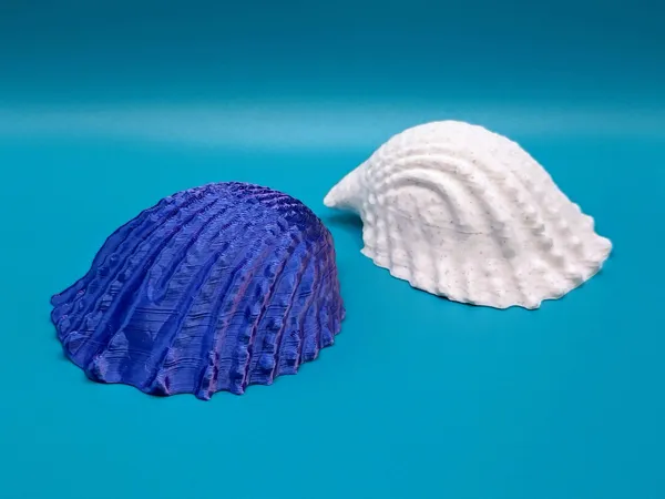 https://makerworld.bblmw.com/makerworld/model/US8916c27bd60d58/design/2025-05-02_efb706531193d8.jpg