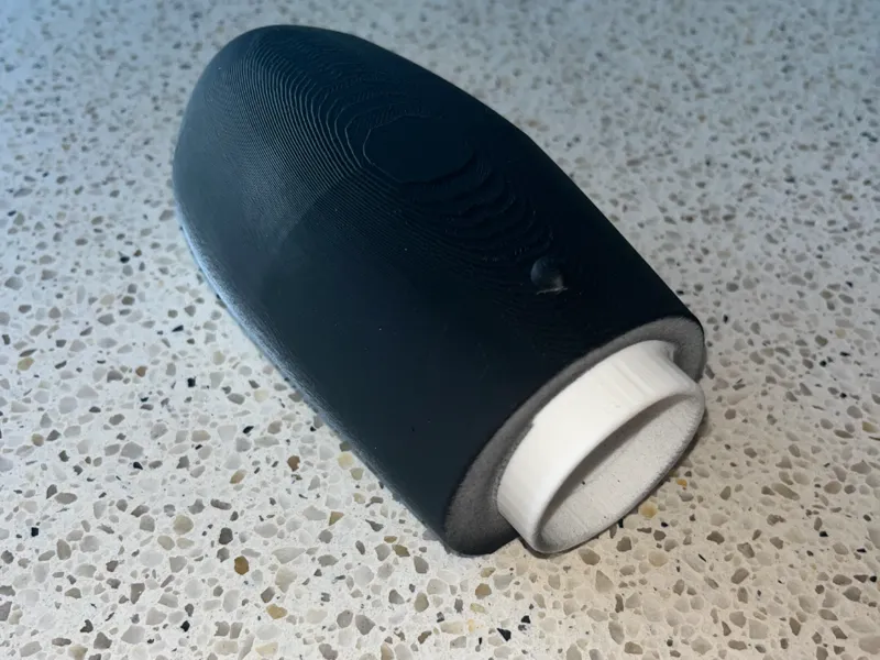 scarab beetle concept torch