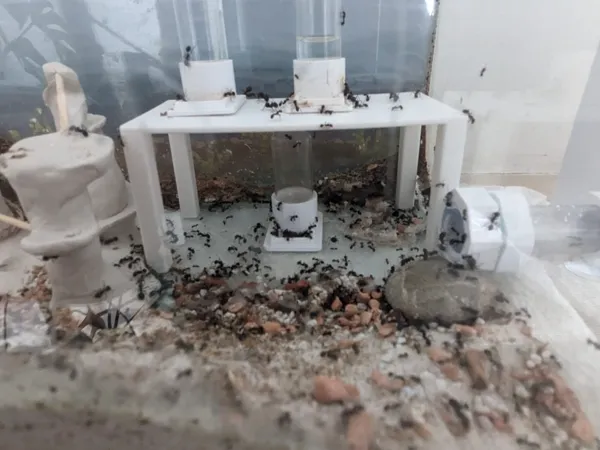 https://makerworld.bblmw.com/makerworld/model/US891f294ed0fff8/design/2025-06-17_8e3373eee0e36.jpg