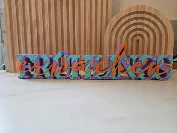 https://makerworld.bblmw.com/makerworld/model/US892161af73c9c5/design/2026-01-12_656684919f303.jpg