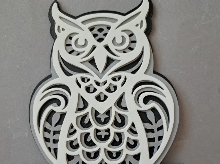 owl