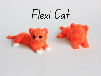 Flexi cat