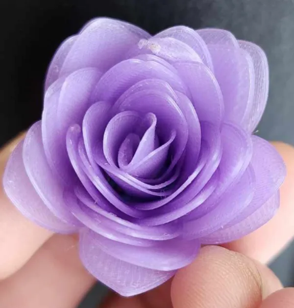 https://makerworld.bblmw.com/makerworld/model/US892831da08c1bd/design/2024-05-22_6bc7a8162fc06.jpg