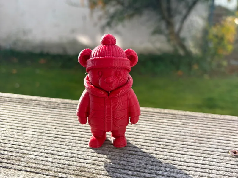 Teddybär mit Winterjacke