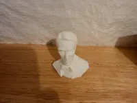 0.08mm layer, 2 walls, 5% infill