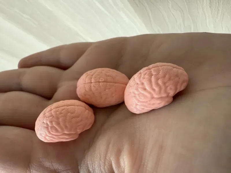 Little Brain Cute - Fast Print - No Supports