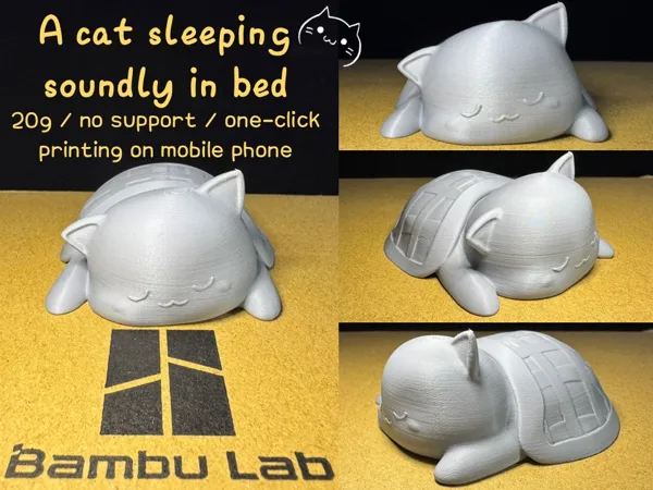 https://makerworld.bblmw.com/makerworld/model/US893459673a2514/design/2024-11-06_16ab5731df1ec.jpg