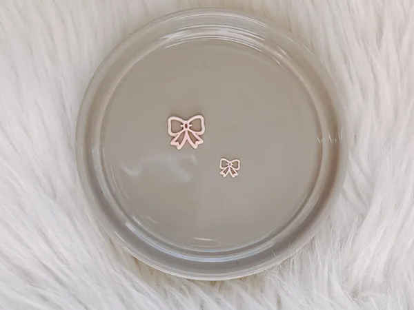 https://makerworld.bblmw.com/makerworld/model/US8935b763a31b38/design/2025-11-18_c553085e8c1e08.jpg