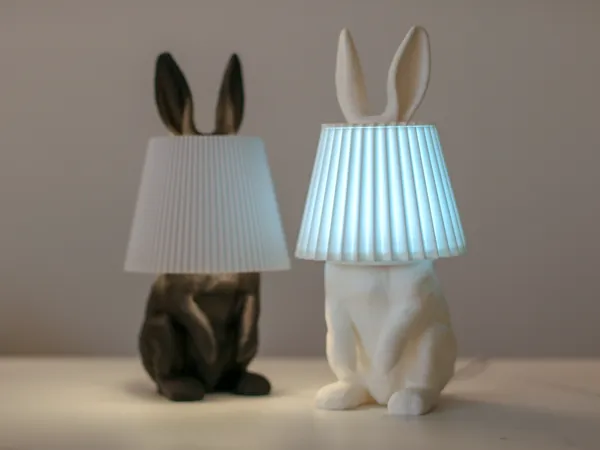 https://makerworld.bblmw.com/makerworld/model/US89380fd5b35e3e/design/2026-01-06_c8be8c405695.jpg