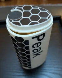 Two Color (two print heads) 0.2mm layer, 2 walls, 15% infill