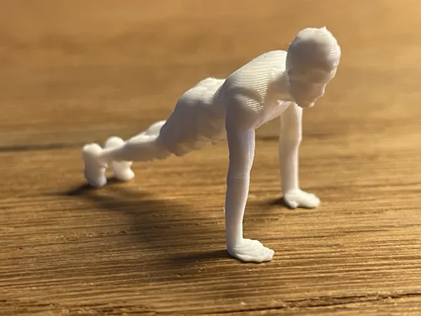 https://makerworld.bblmw.com/makerworld/model/US893dd8a8da1574/design/2025-04-07_225f8e018aefb.jpg